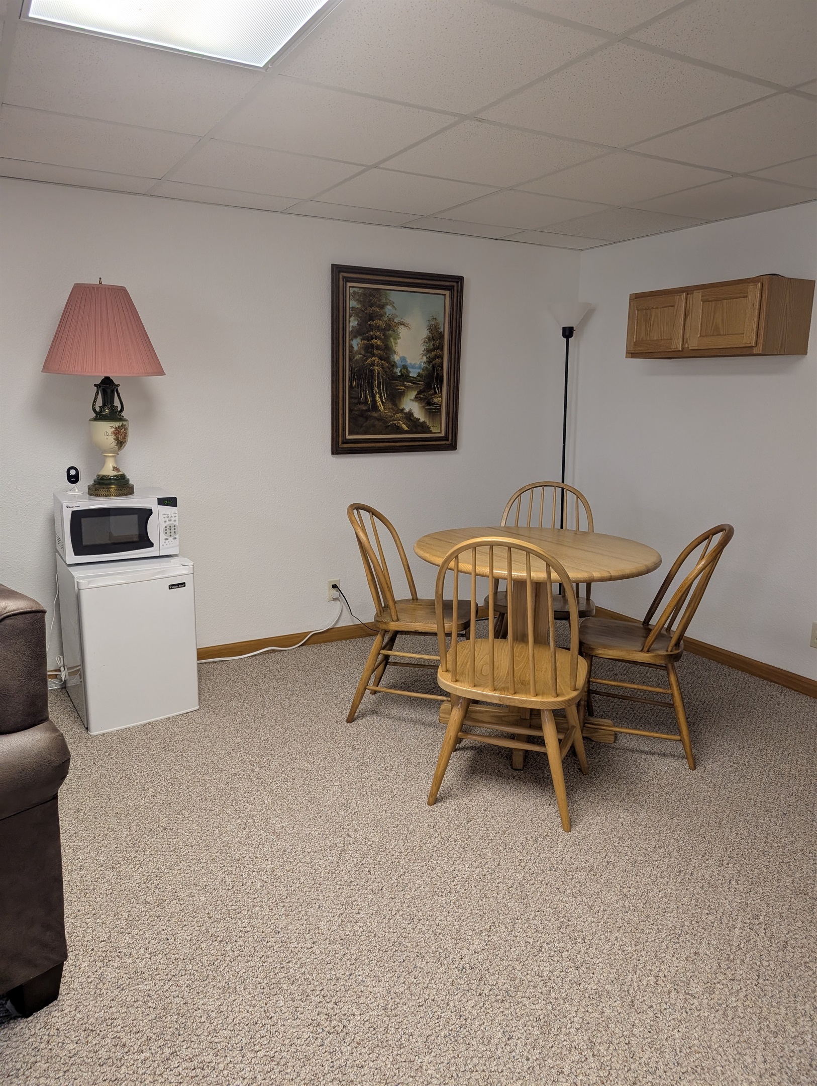 Lower Level Living Area