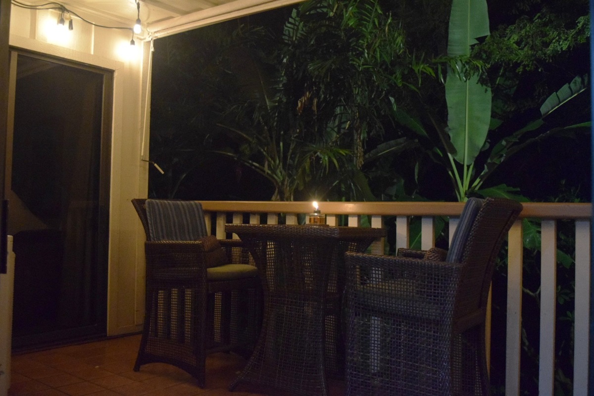 Evening View