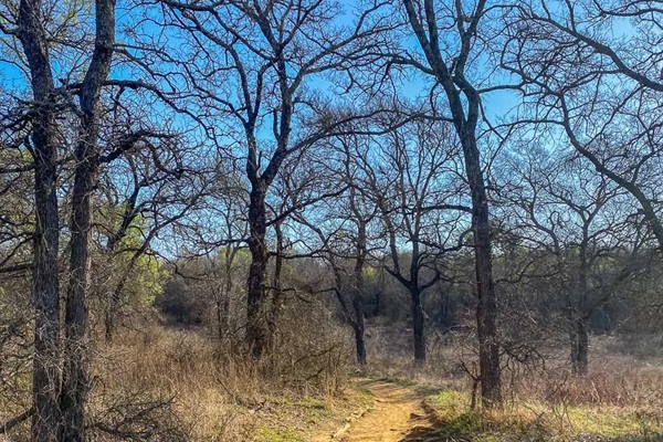 Scenic and Surrounded By Nature