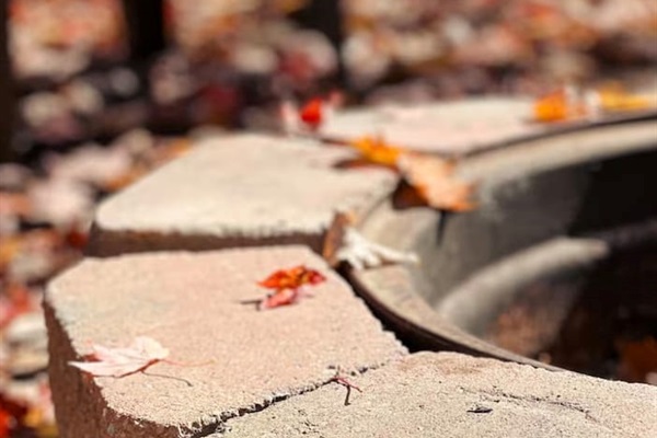 Cozy fire pit, with plastic chairs, perfect for relaxing evenings under the stars. Ample seating for everyone.