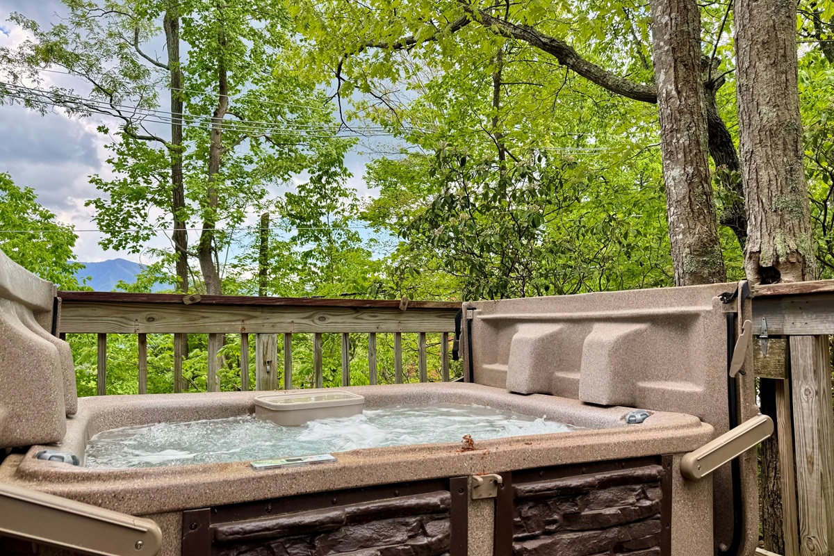 SPRING HOT TUB VIEW