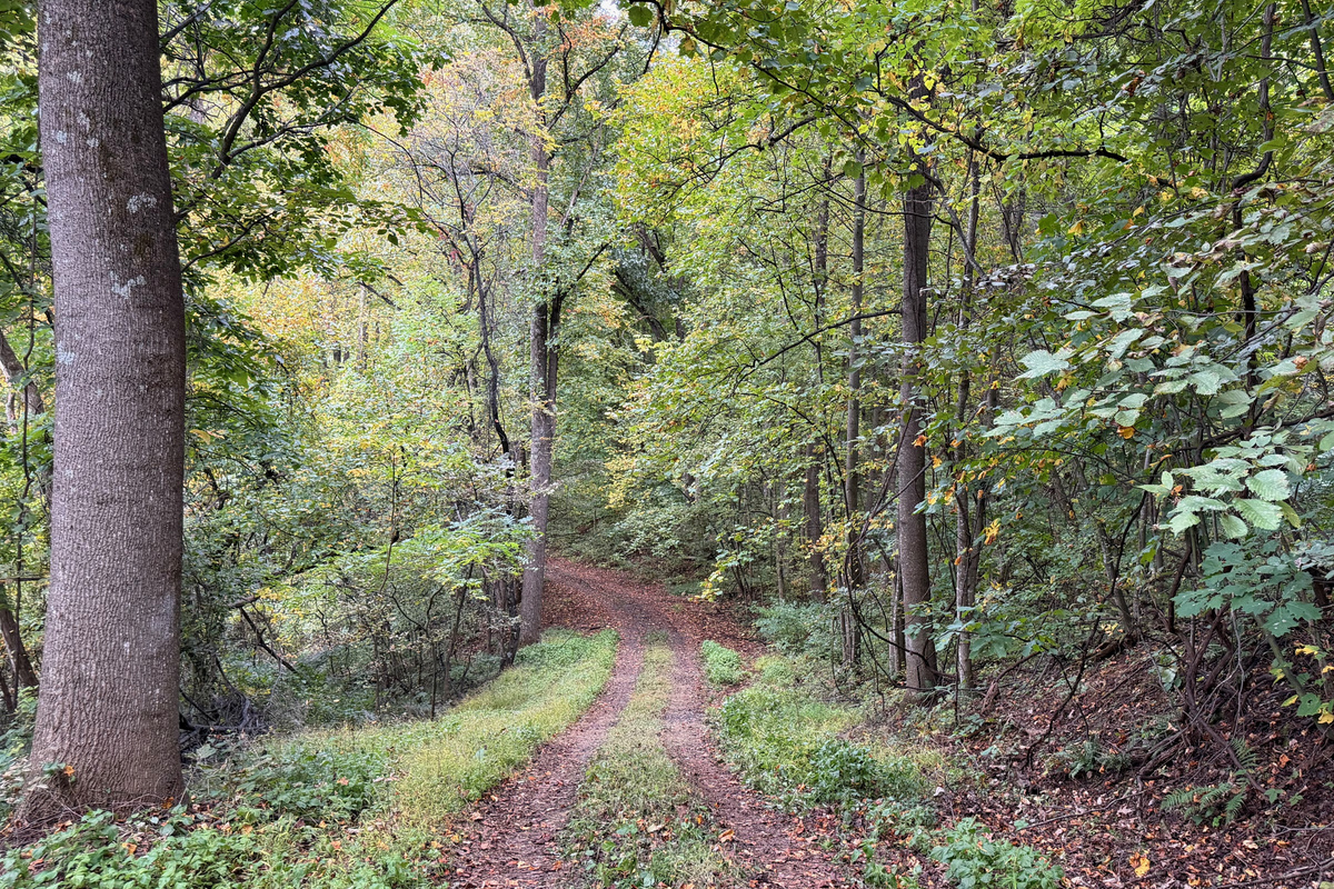 Numerous trails are on the 26 acre property, which you are free to use. We do have many wild animals to enjoy watching, but do take care and be safe. Read through the Guest Welcome Book about safety before you venture off.
