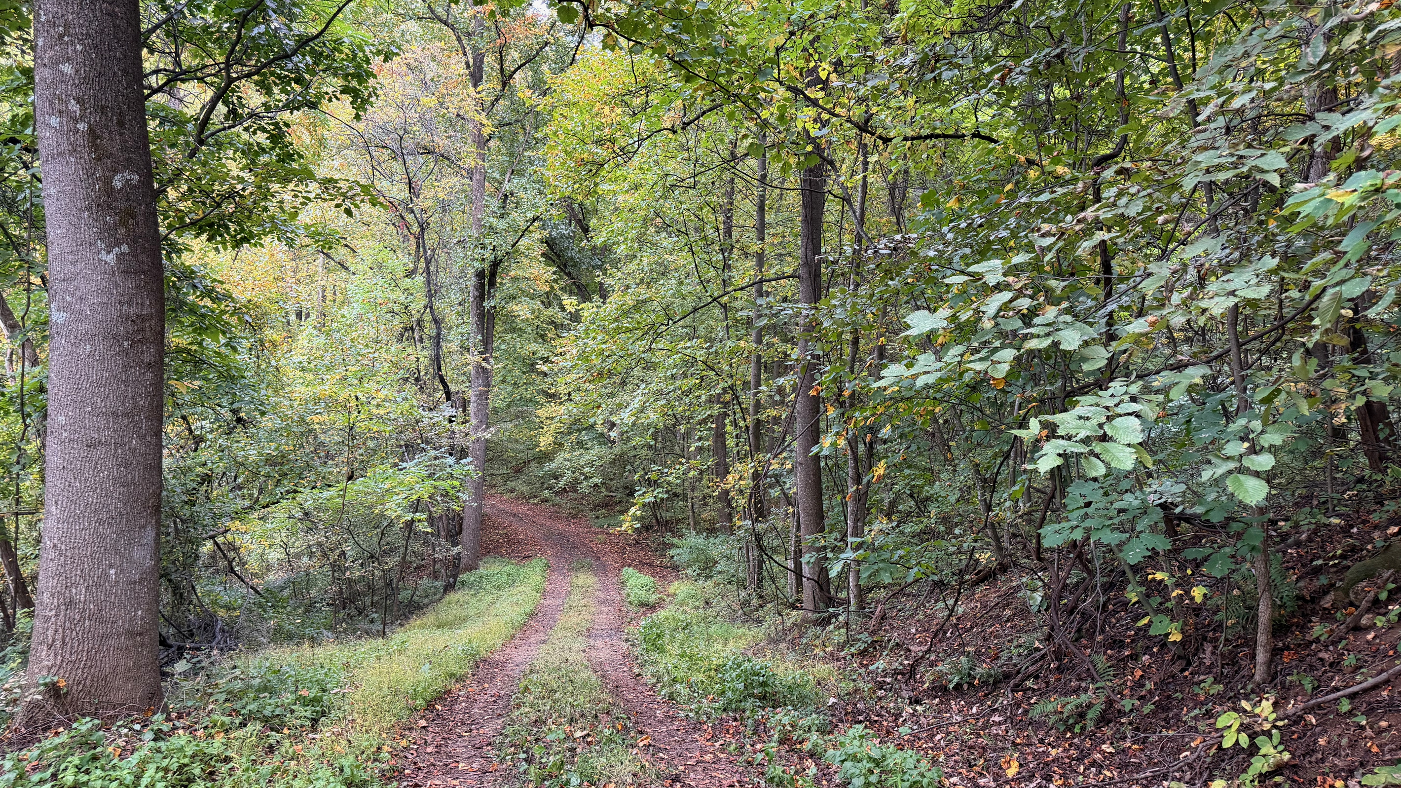 Numerous trails are on the 26 acre property, which you are free to use. We do have many wild animals to enjoy watching, but do take care and be safe. Read through the Guest Welcome Book about safety before you venture off.
