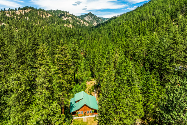 Aerial view looking north surrounded by ponderosa pines