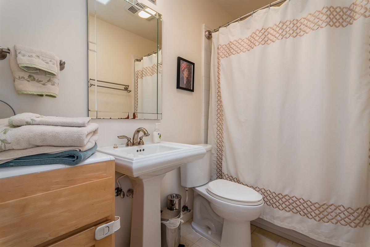 Upstairs guest bathroom (tub/shower)