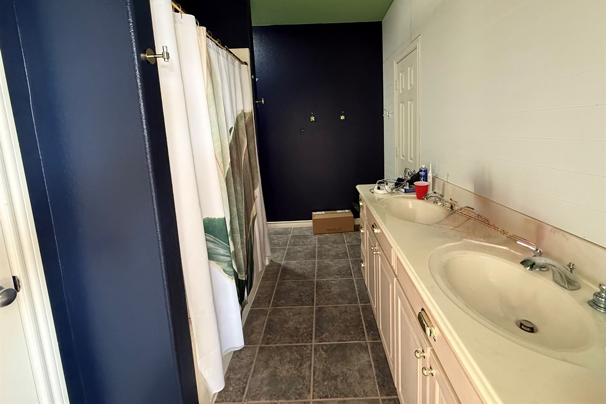 April 6 update! Lighting and mirror are next! 