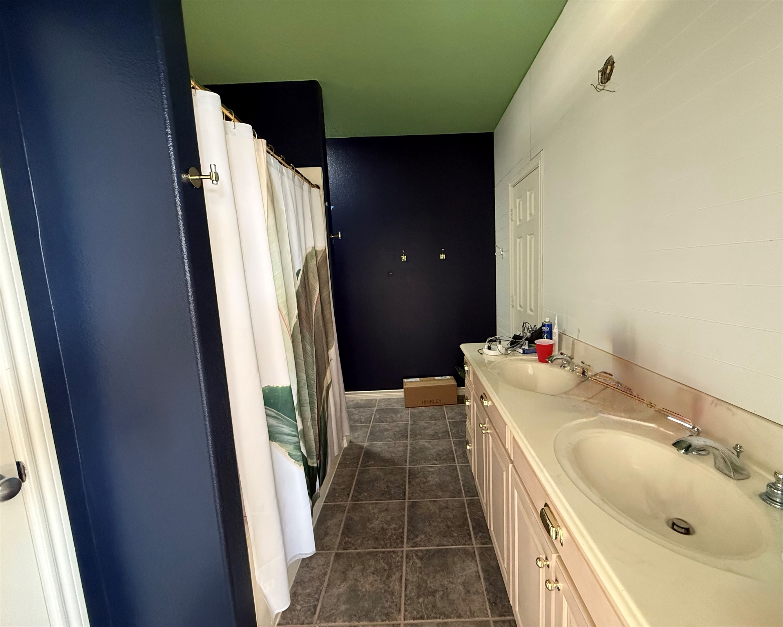 April 6 update! Lighting and mirror are next! 