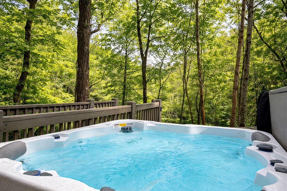 Relax in our hot tub after day on the lake, rafting the Nantahala, or hiking in the Smokies!