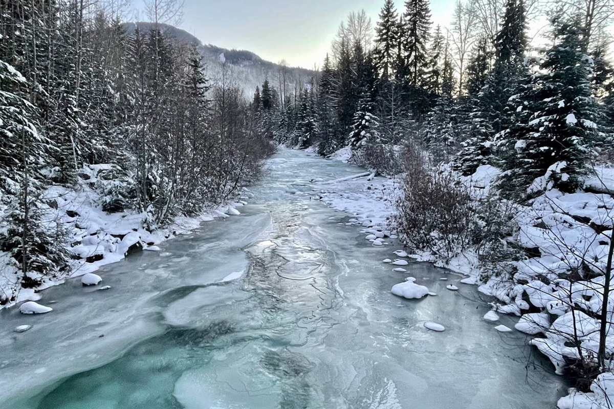 The majestic glacier fed  Fitzsimmons Creek runs right by Best Whistler Rentals front door. What could be better than starting and finishing your day walking past this amazing landscape. 