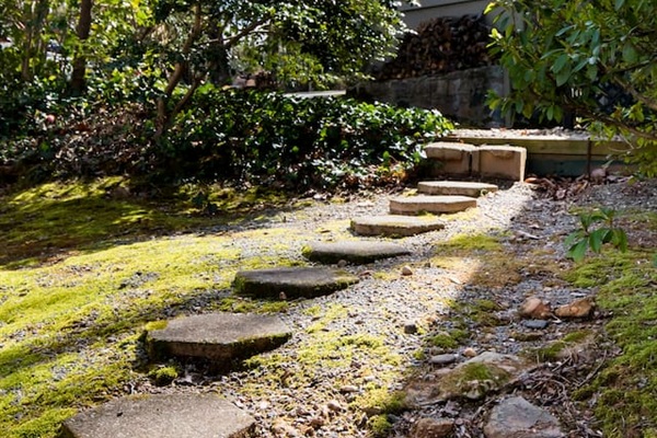view from path to front door
