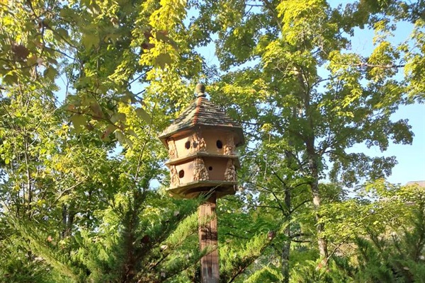 So much beauty along the walking trail within the resort