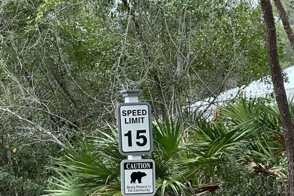  You may spot bear signs around the neighborhood—black bears live in the area! They’re shy and often seen, but it’s a reminder you’re surrounded by Florida’s natural beauty. ✨