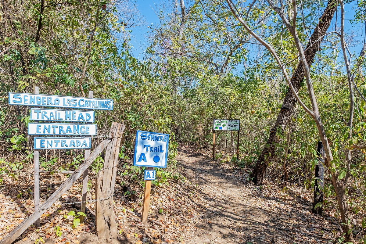 Hiking Trails