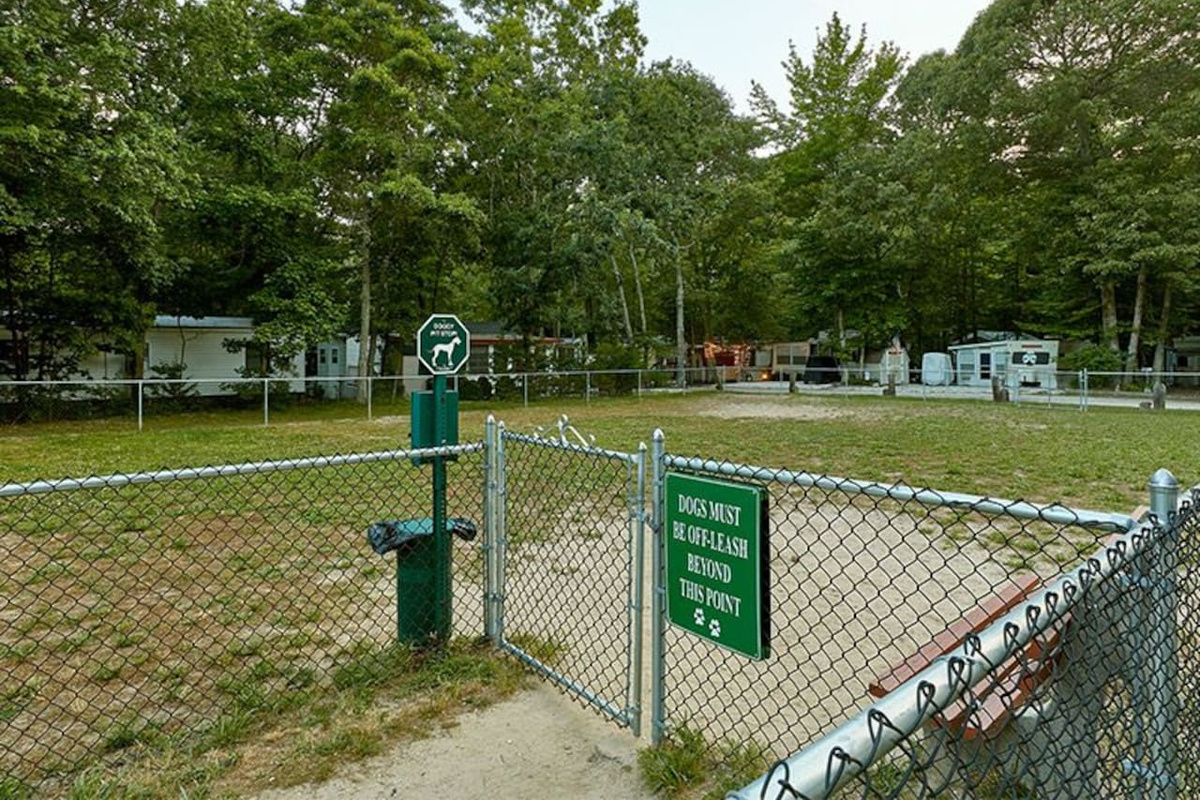 Dog park