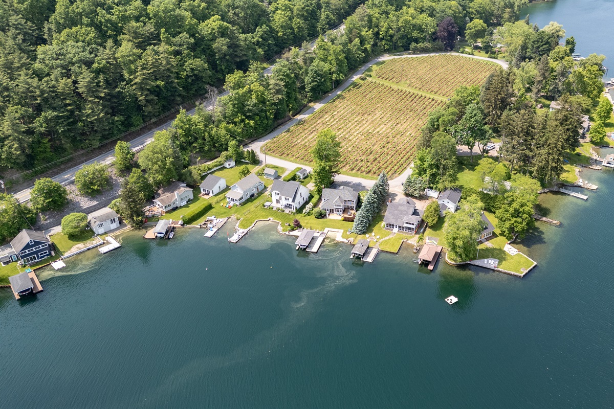 A stunning aerial view of lakeside living meets vineyard charm—private docks, waterfront homes, and lush grape rows create the perfect Finger Lakes retreat.