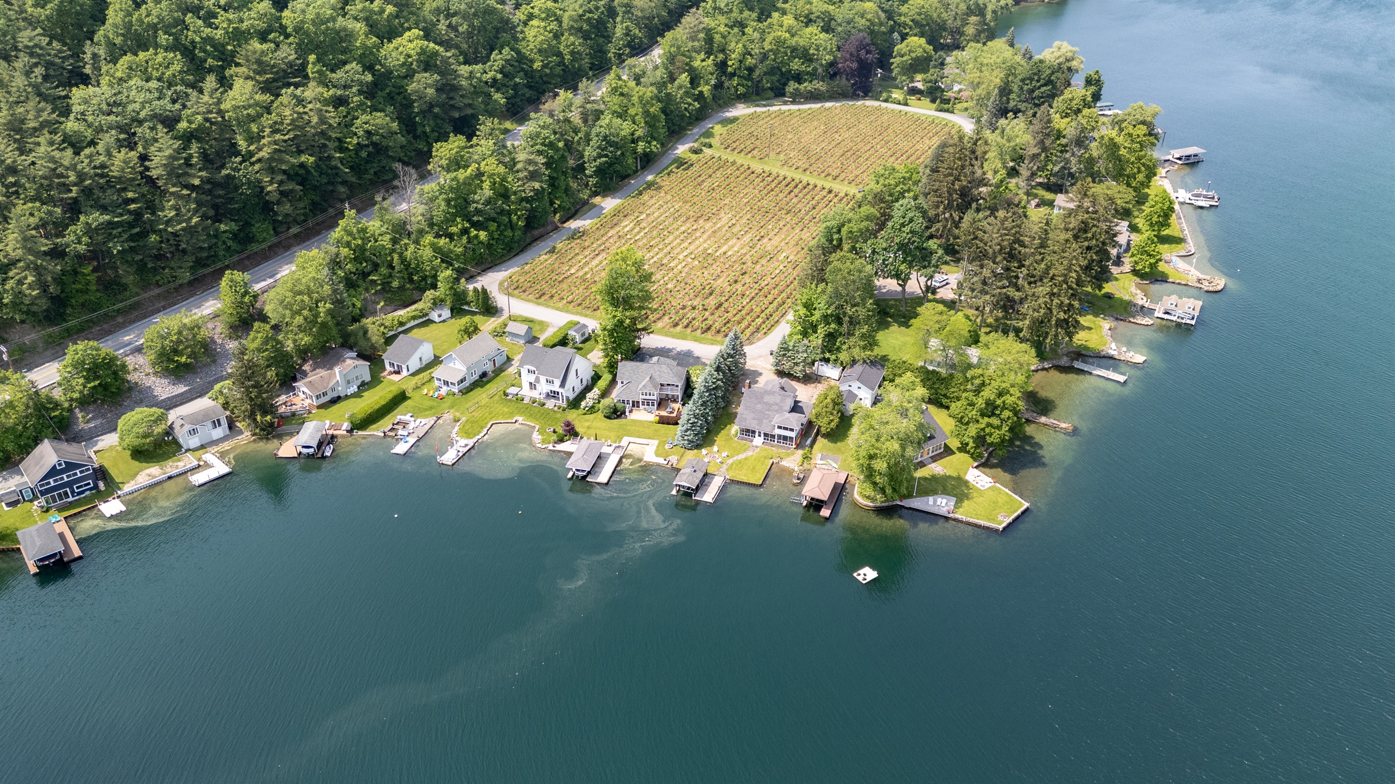 A stunning aerial view of lakeside living meets vineyard charm—private docks, waterfront homes, and lush grape rows create the perfect Finger Lakes retreat.