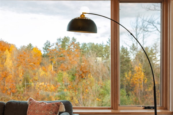 Cozy reading nook with forest views