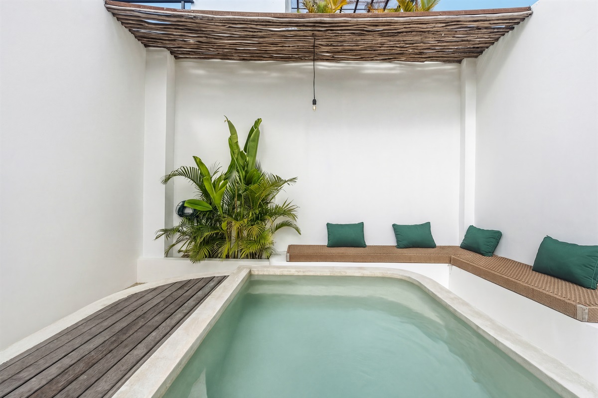 Plunge pool