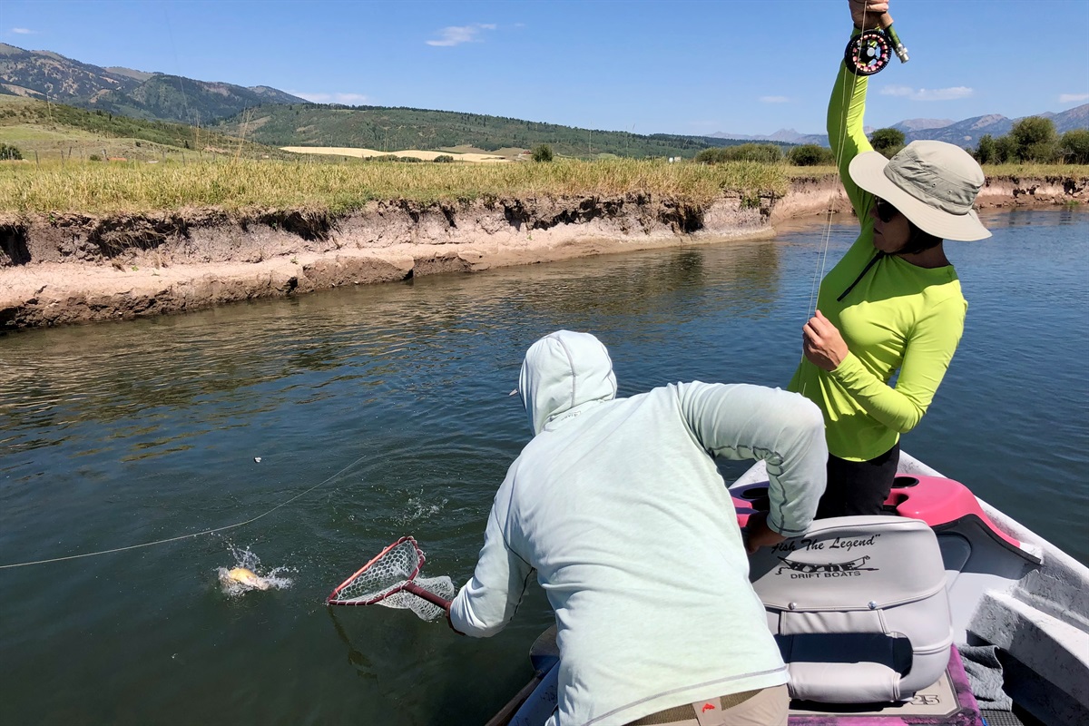 Schedule a guided fly fishing session with a local guide. - Spend the day slowly meandering on the Snake River as you find joy in trying something new. 