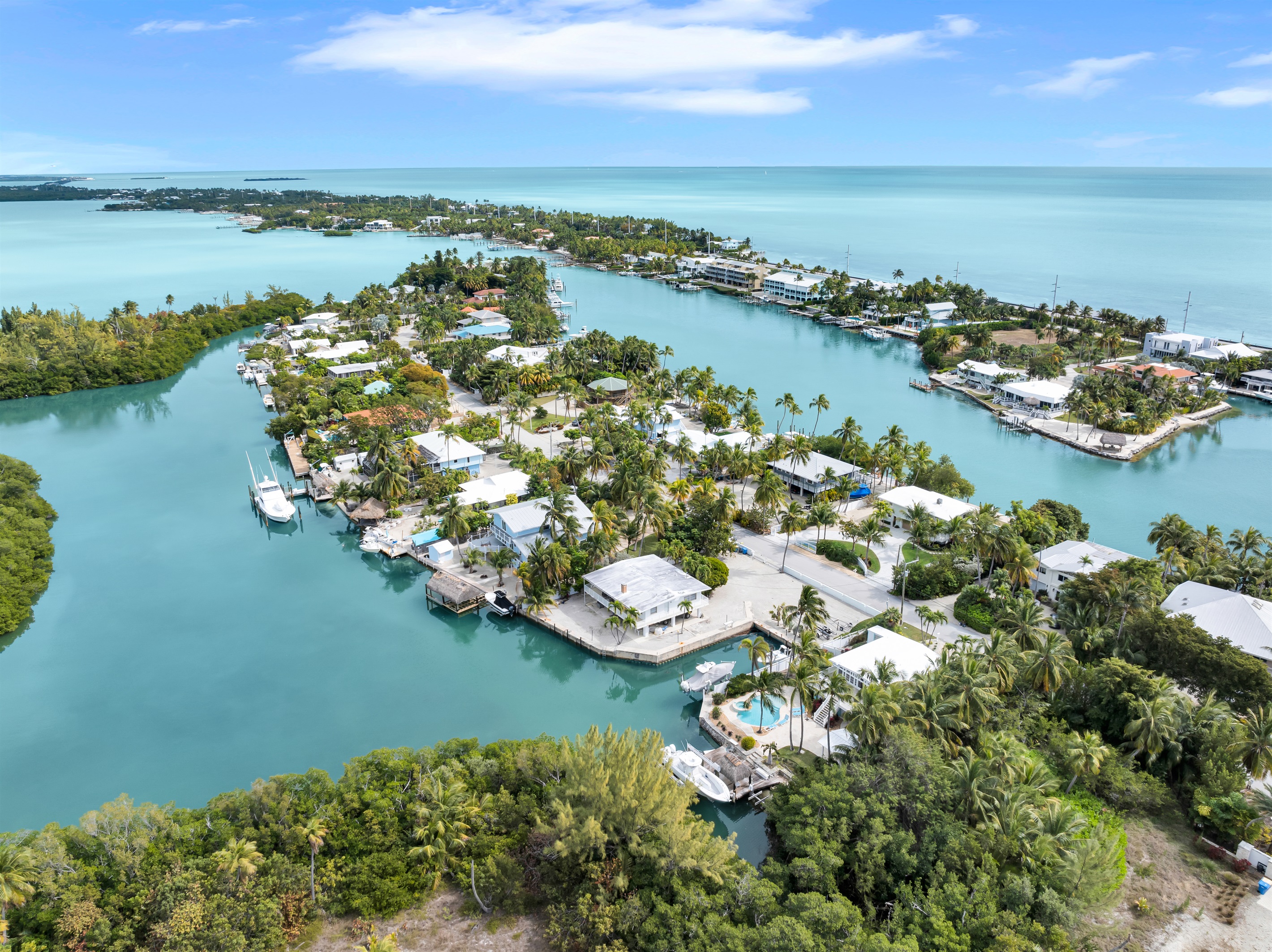 Aerial view of the neighborhood.
