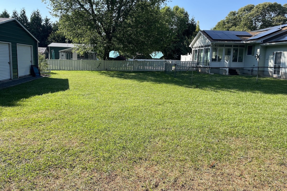 Grassy side of yard