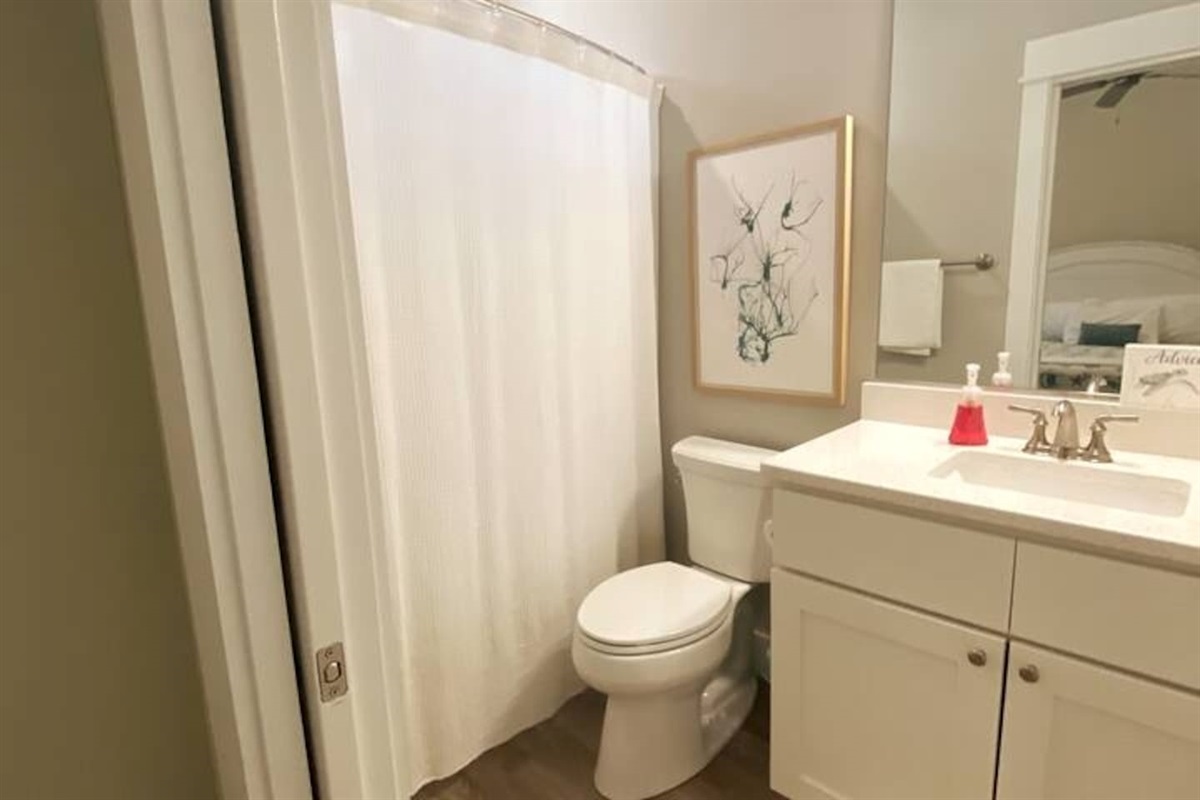 Guest en suite bathroom (hallway accessible)