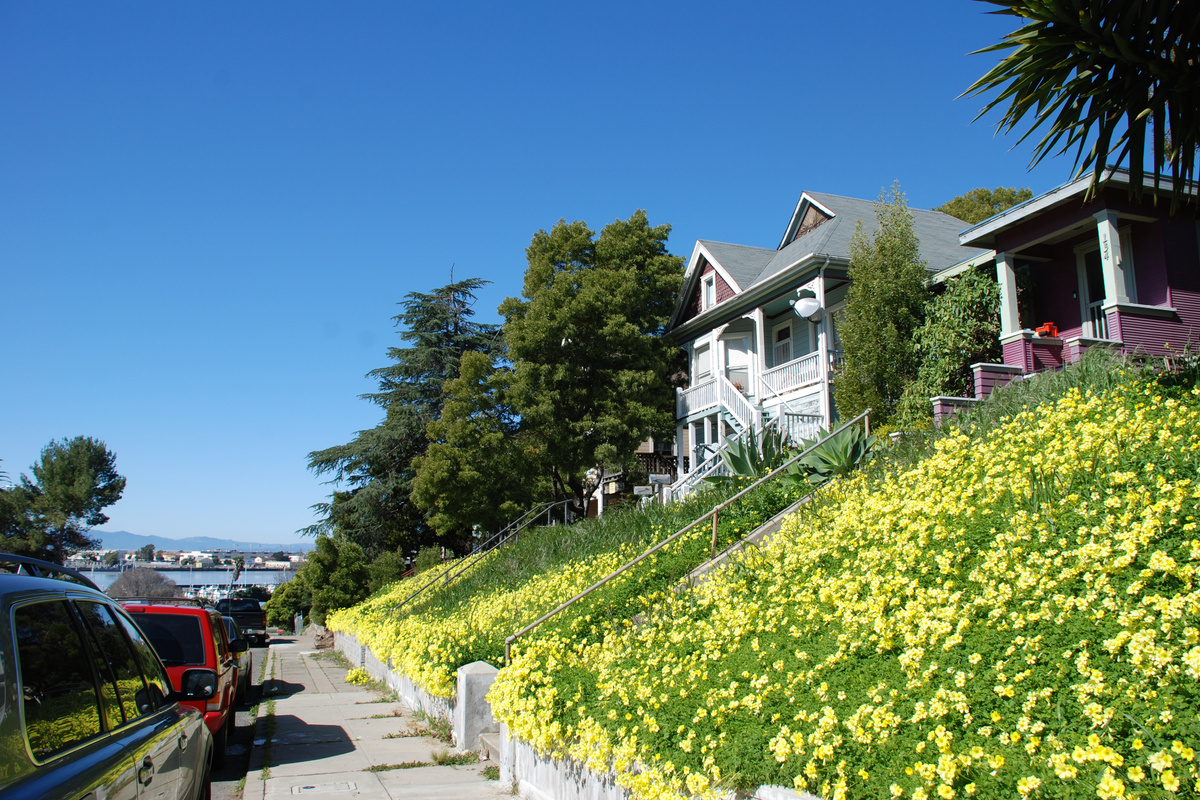 Water front location - steps to the San Francisco Ferry