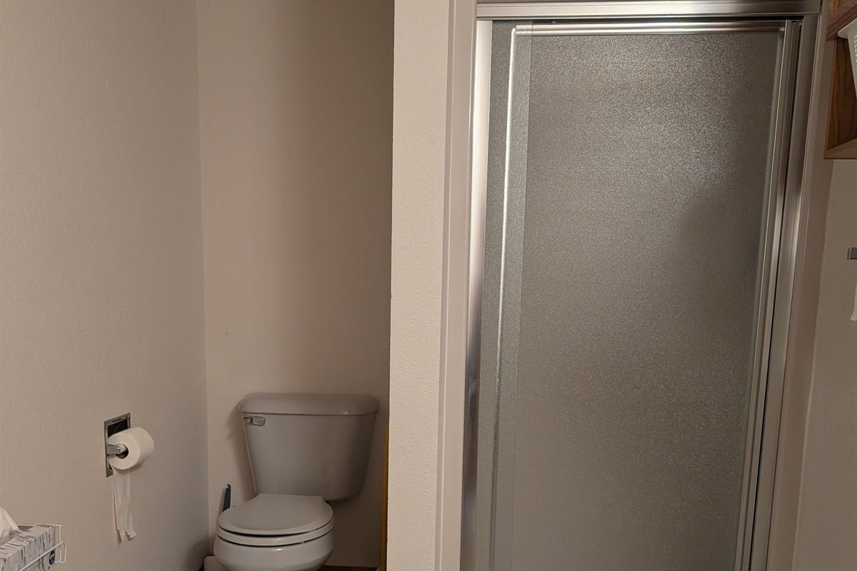 Lower Level Bathroom