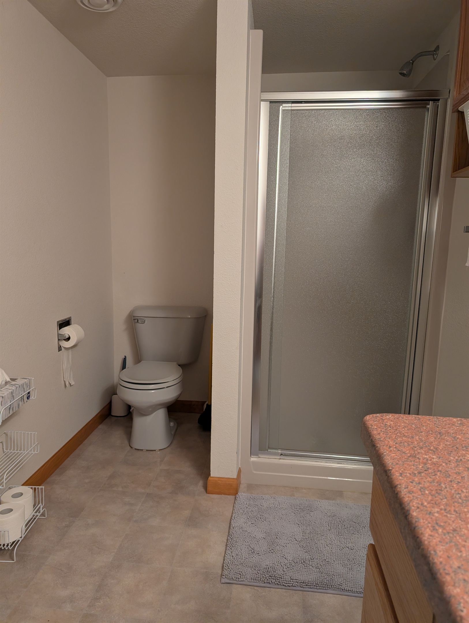 Lower Level Bathroom