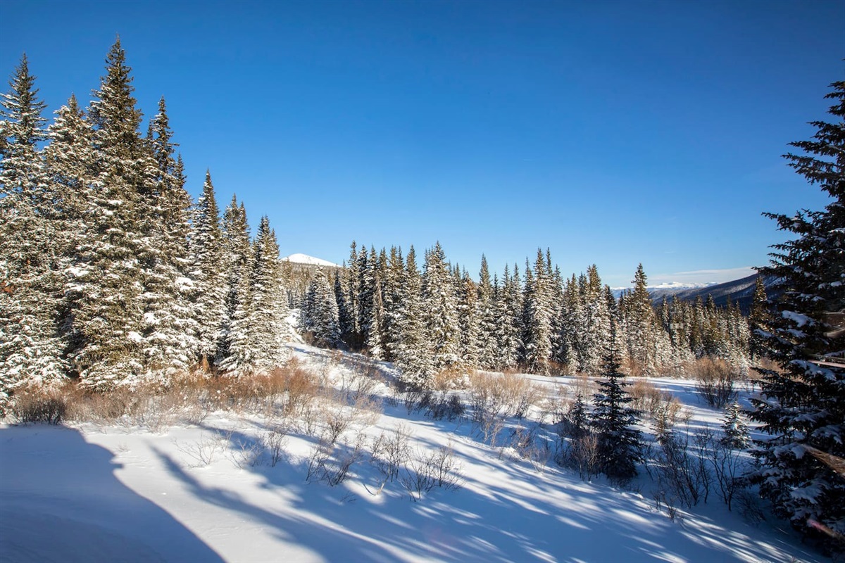 Backyard view in winter