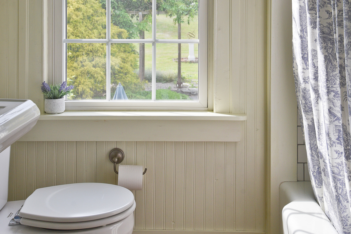Bathroom View 
