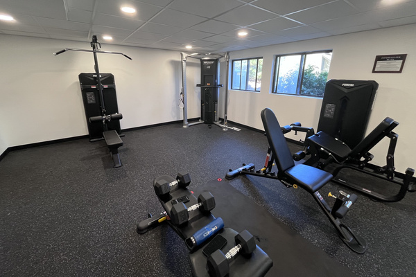 Gym #3