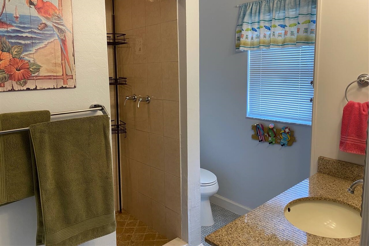 Villa Marion- Master bathroom and shower