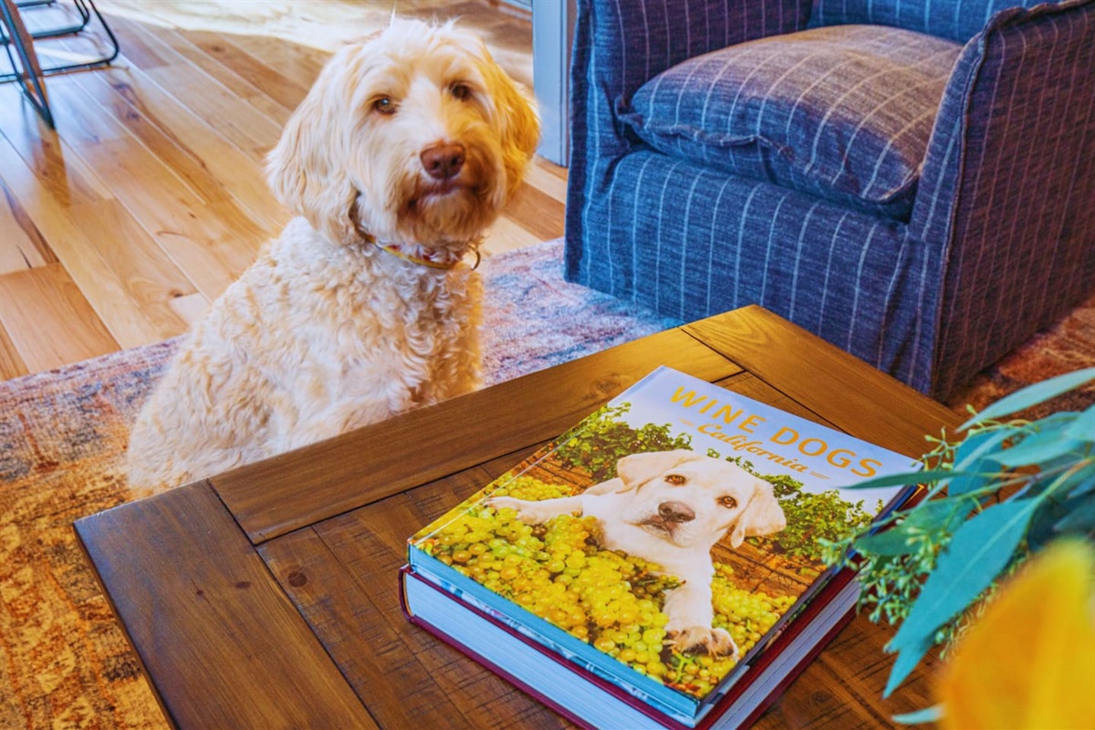 Your furry friends are welcome at our pet-friendly home!