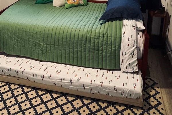 A playful room with twin and trundle beds invites imagination, where ocean creatures, moonlit adventures, and hints of camping spark curiosity and fun.