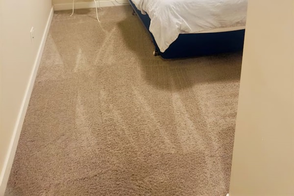 Cozy minimalist bedroom with plush carpet and comfy full bed