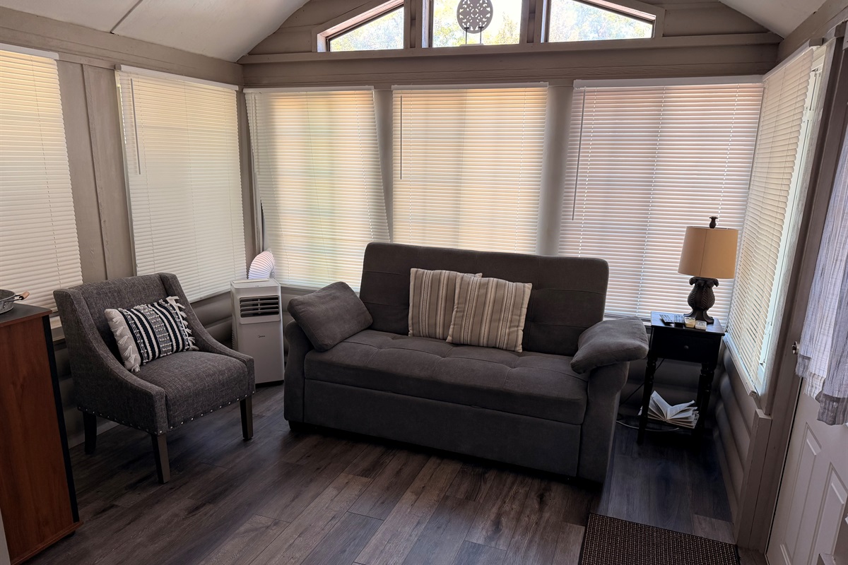 Living room with sleeper sofa
