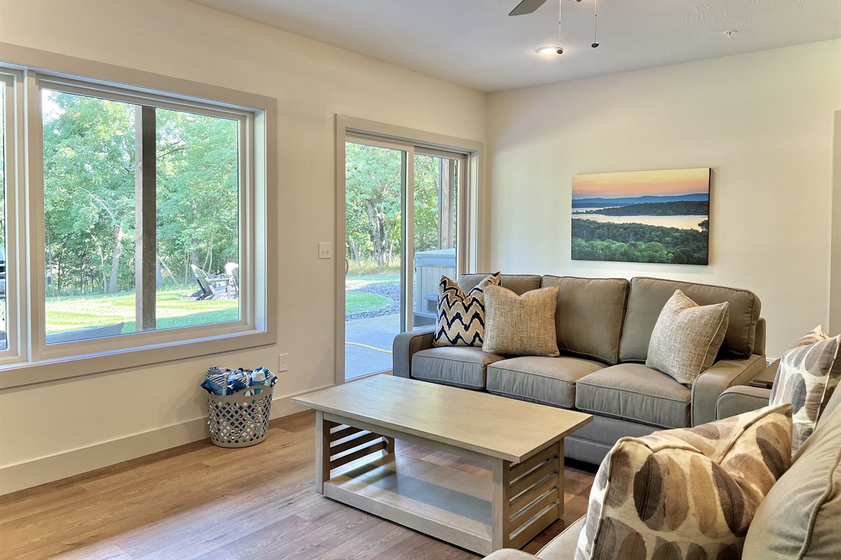 Lower Living Room