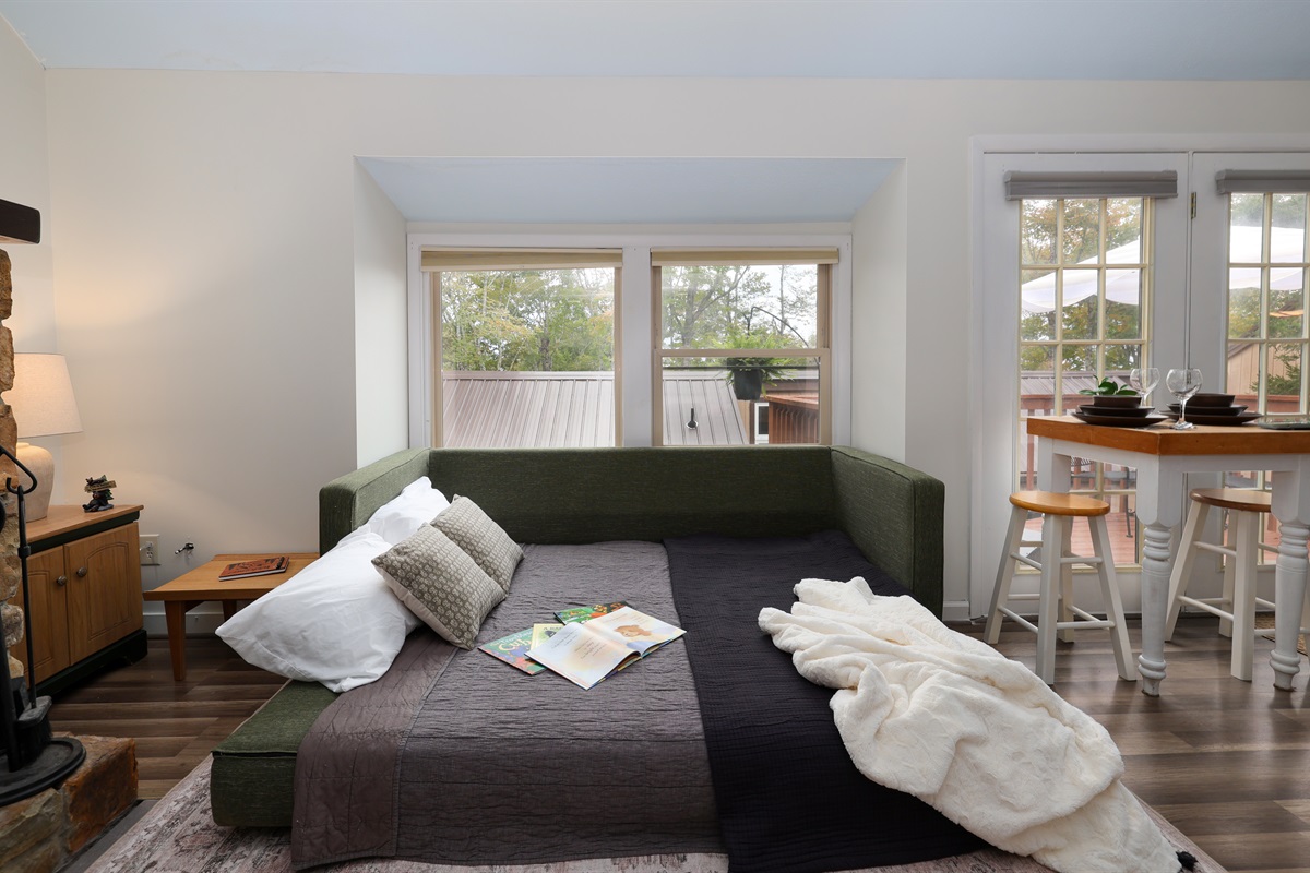 Double Pull Out Couch in Living Room
