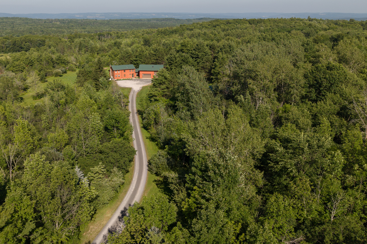 Long driveway leading through dense trees