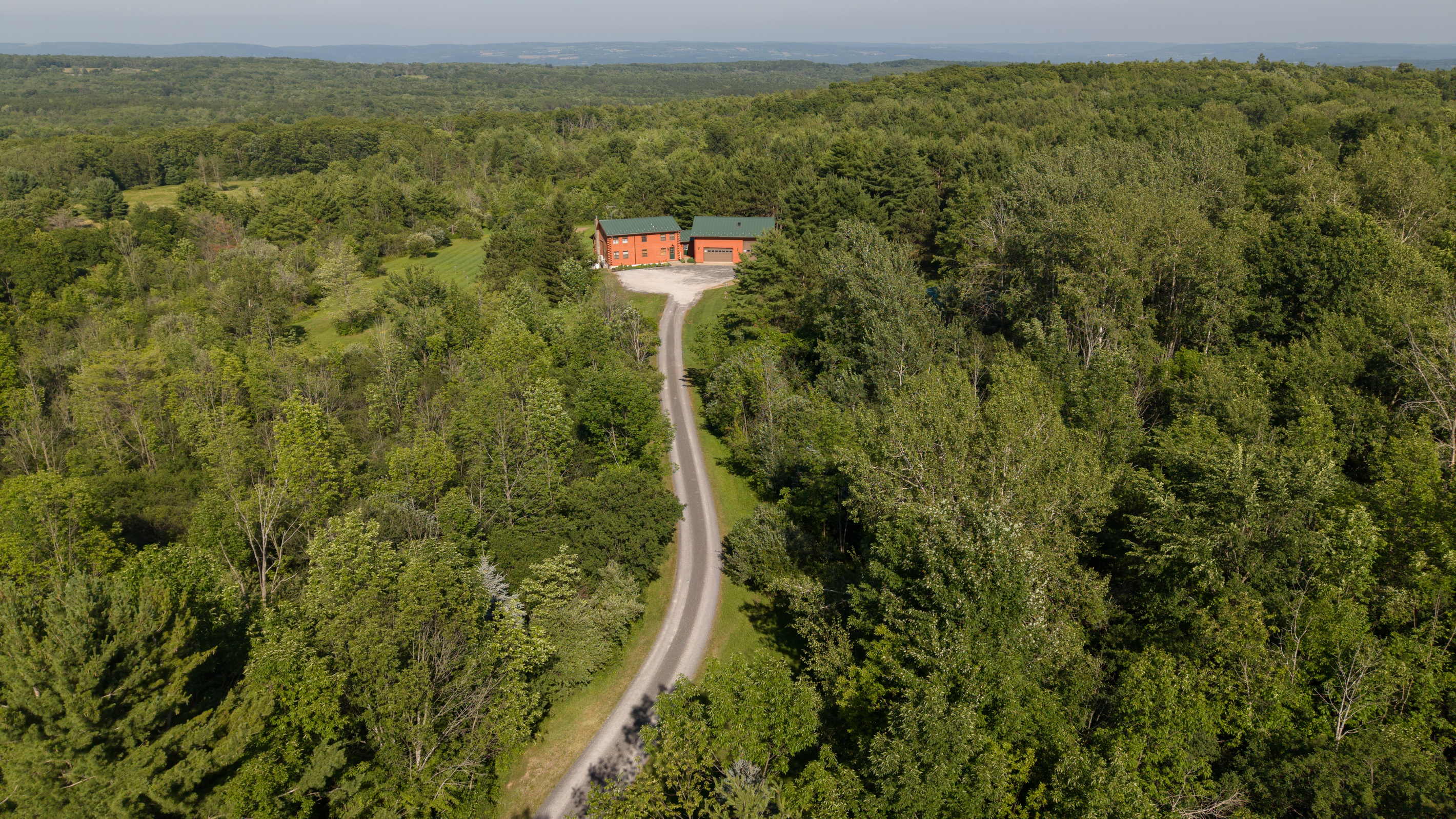 Long driveway leading through dense trees