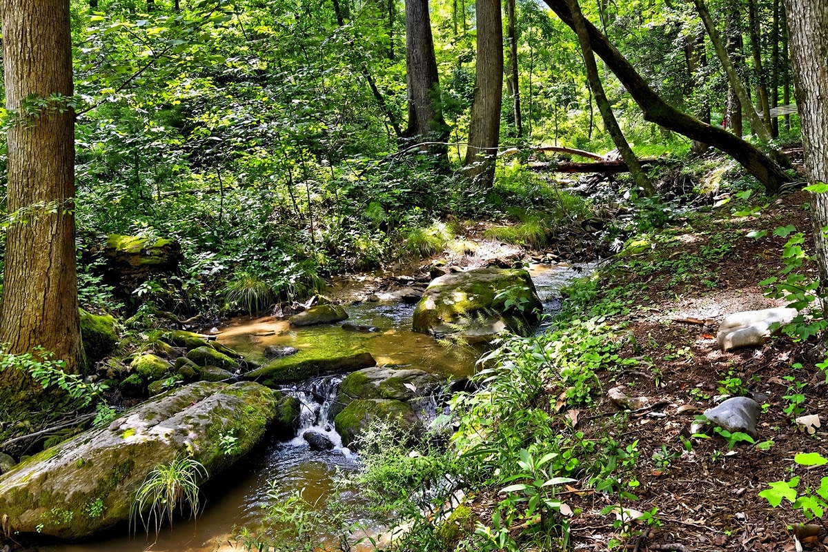 A quiet creek flows near the home
