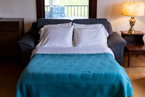 Sofa Bed in Living Room