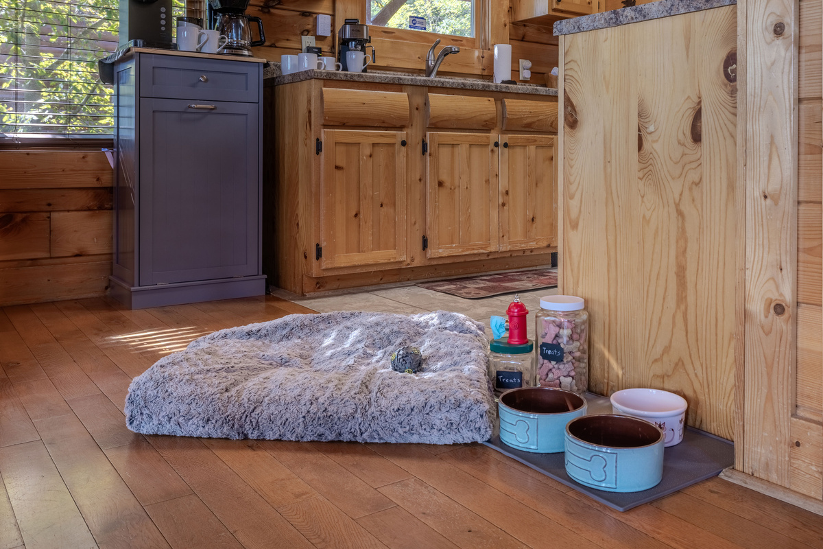 We try to make your dog feel right at home