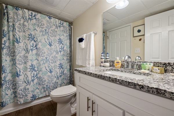 Guest bathroom
