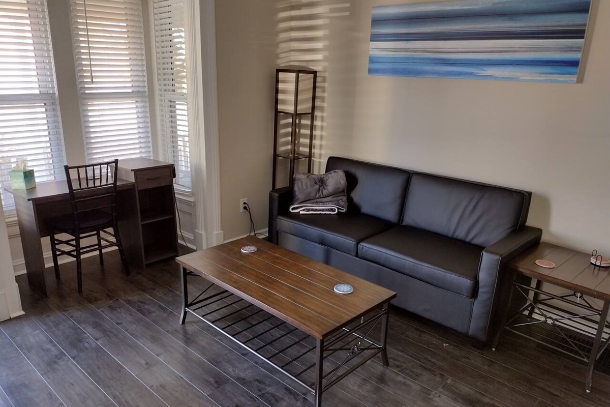 Beautiful designated work area with natural light!

Queen size pull-out couch