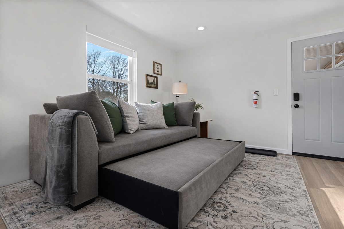 Spacious living area featuring a cozy sofa with pull-out sleeping space, soft natural light, and modern touches—perfect for relaxing or hosting extra guests.