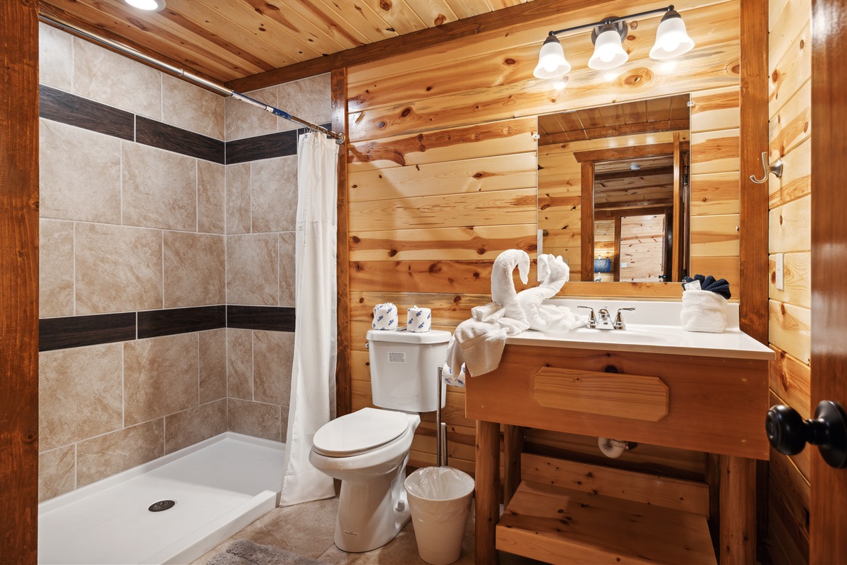 Modern ensuite with walk-in shower