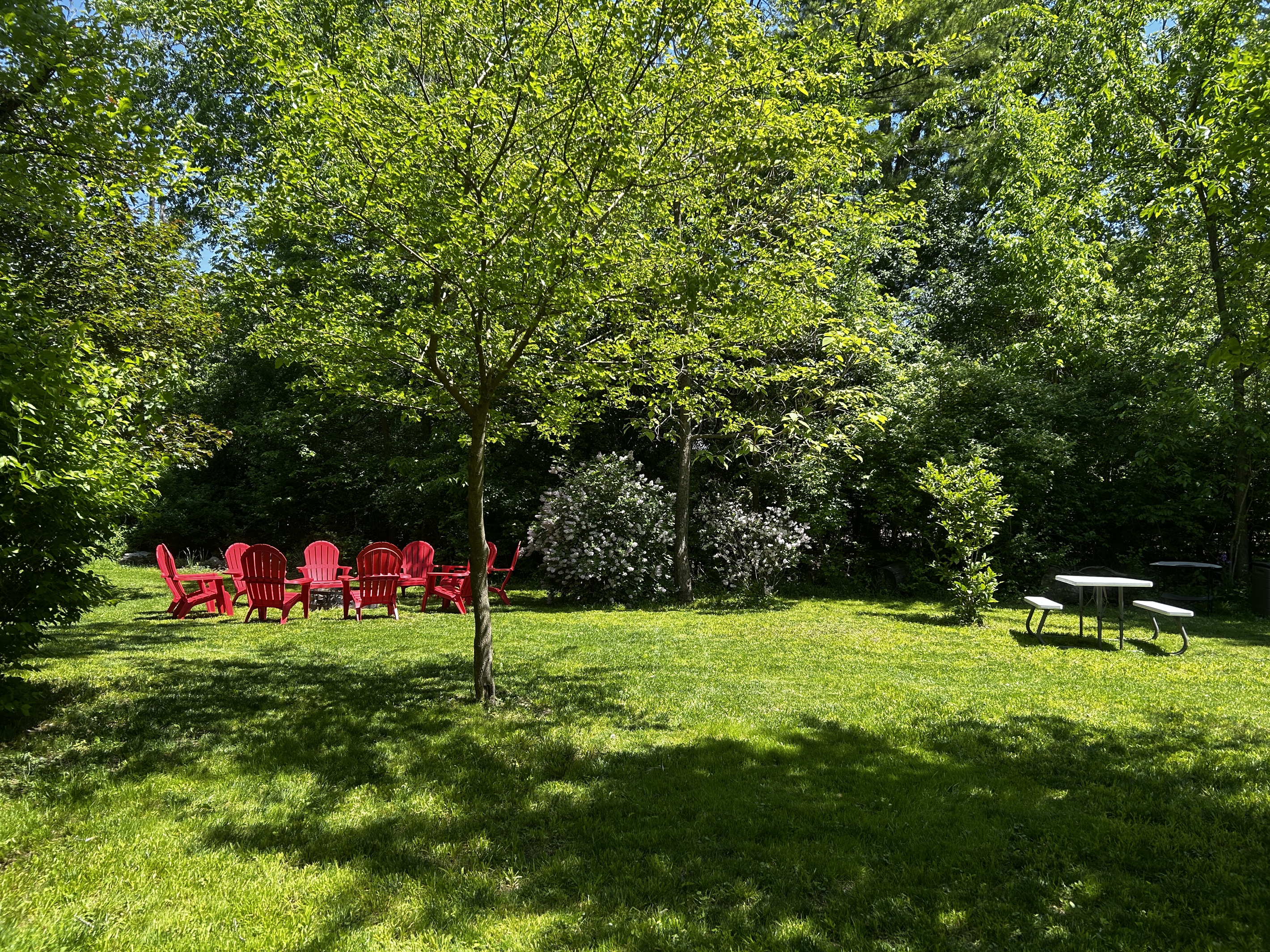 Area where you can play yard games: washers, corn hole, Spikeball, ring toss and more.
