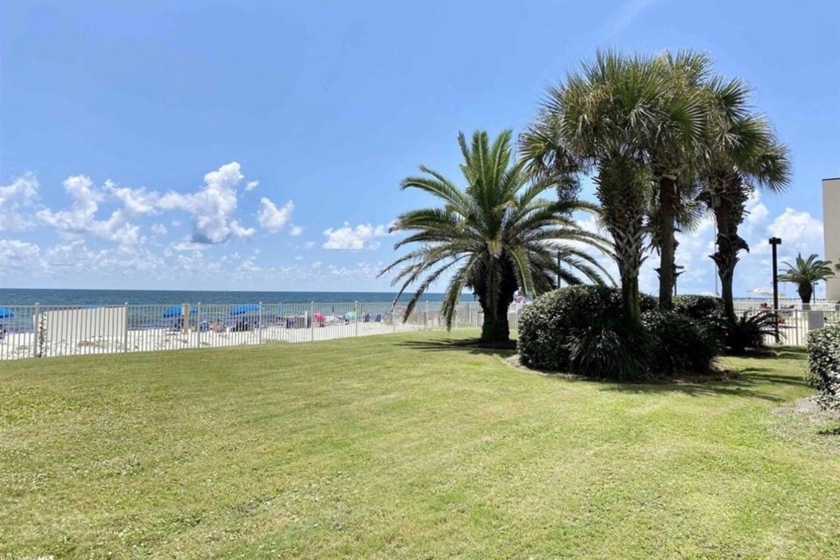 Ground level behind building